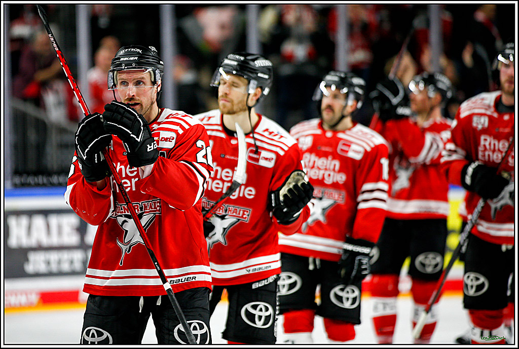 PENNY DEL; Koelner Haie- Red BUll Muenchen; Koeln, 08.11.2022